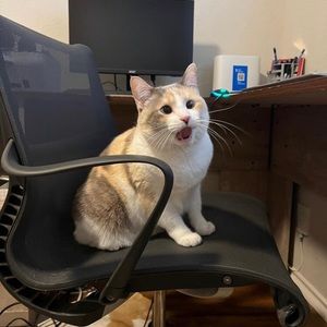 Meet your Posher, Fart